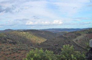 Landschaft bei Bragança